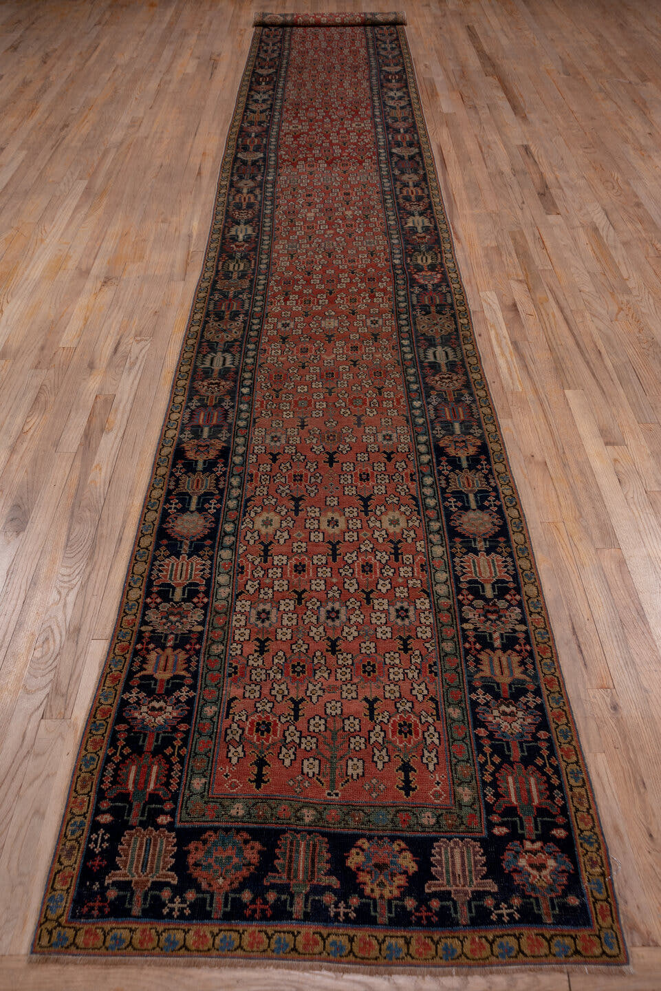 3' x 19' one-of-a-kind handmade vintage Shirvan runner rug. Color palette: rust, navy, ivory, camel, terracotta, charcoal