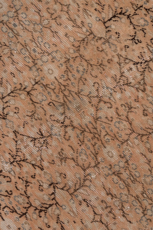 Vintage Kaisary Area Rug (6' x 9')