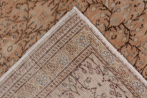 Vintage Kaisary Area Rug (6' x 9')