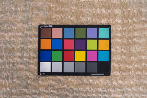 Vintage Kaisary Area Rug (6' x 9')