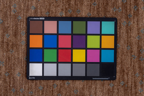 Vintage Dot Area Rug (9' x 12')