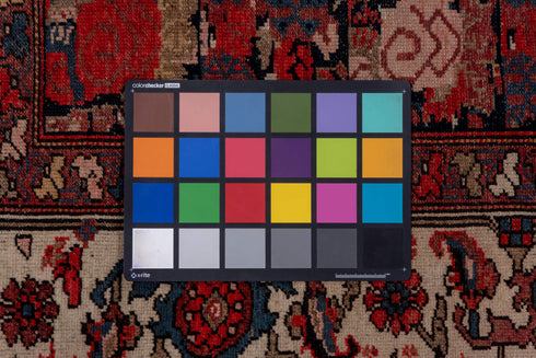 Antique Malayer Runner Rug (3' x 16')