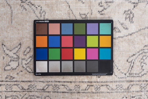 Antique Sparta Area Rug (5' x 9')