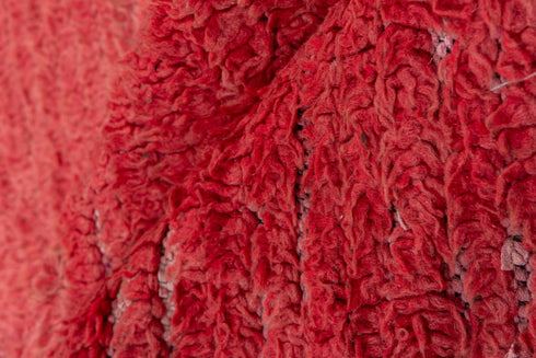 Vintage Moroccan Runner Rug (2' x 9')