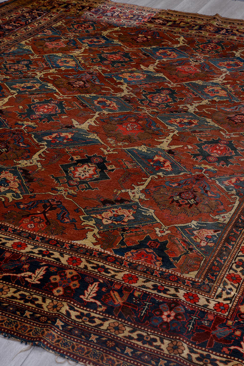 Antique Bakhshayesh Area Rug (9' x 10')