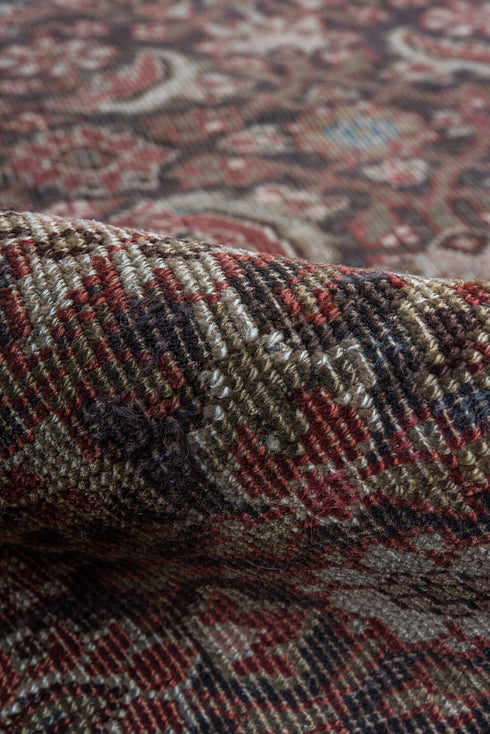 Antique Bidjar Area Rug (4' x 6')