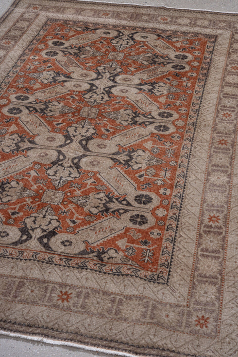 Vintage Irvan Area Rug (4' x 6')