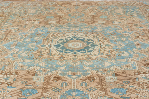Vintage Baktiary Area Rug (9' x 12')
