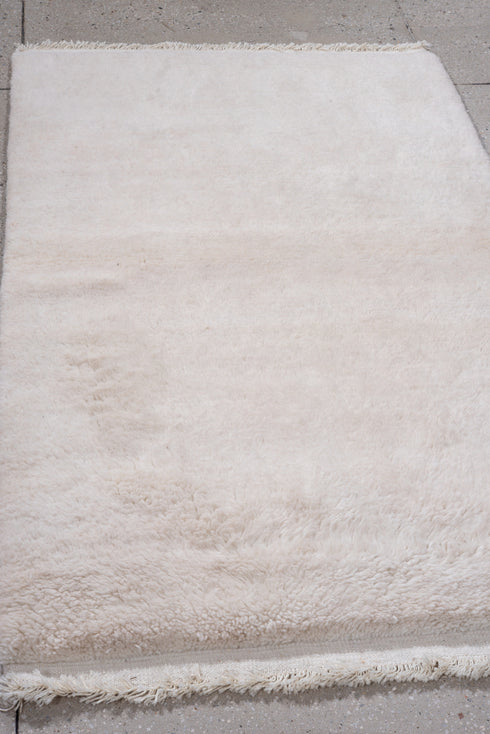 Vintage Shag Area Rug (3' x 5')