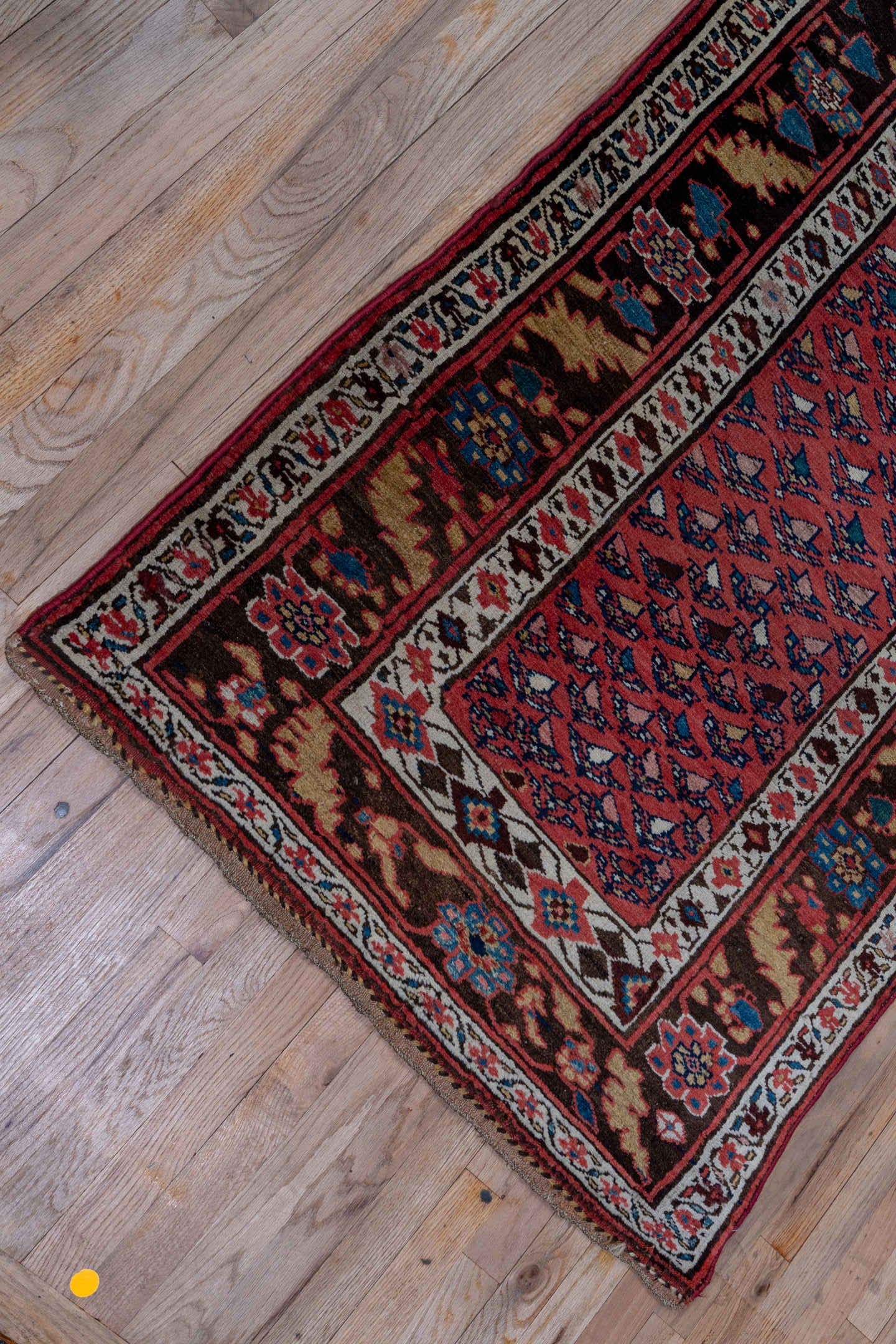 2' x 14' one-of-a-kind handmade antique Kurd Bidjar runner rug. Color palette: rust, navy, ivory, crimson, camel, indigo