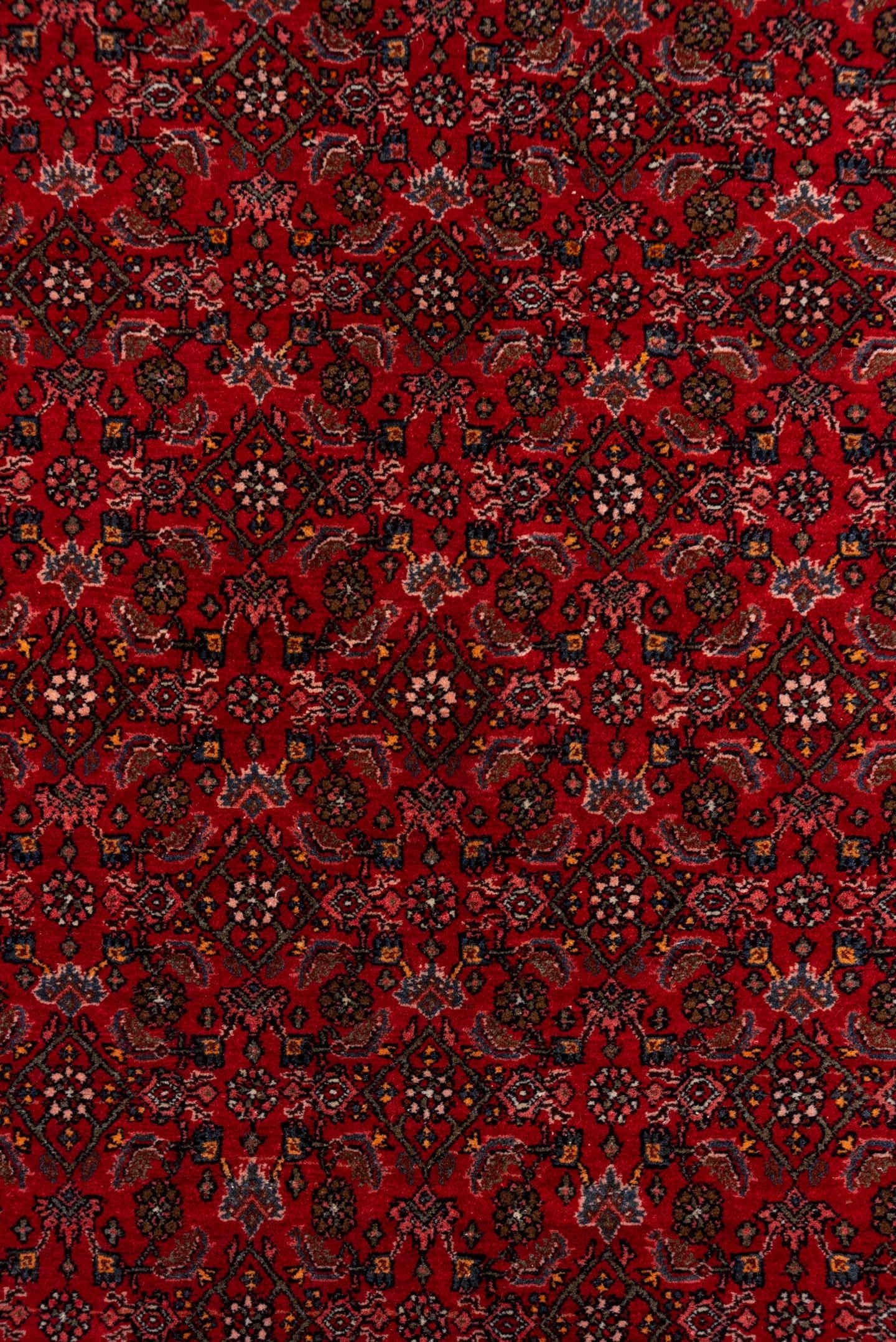 5' x 7' one-of-a-kind handmade antique Bidjar rug. Color palette: red, navy, rust, rose, ivory, charcoal, blue, terracotta
