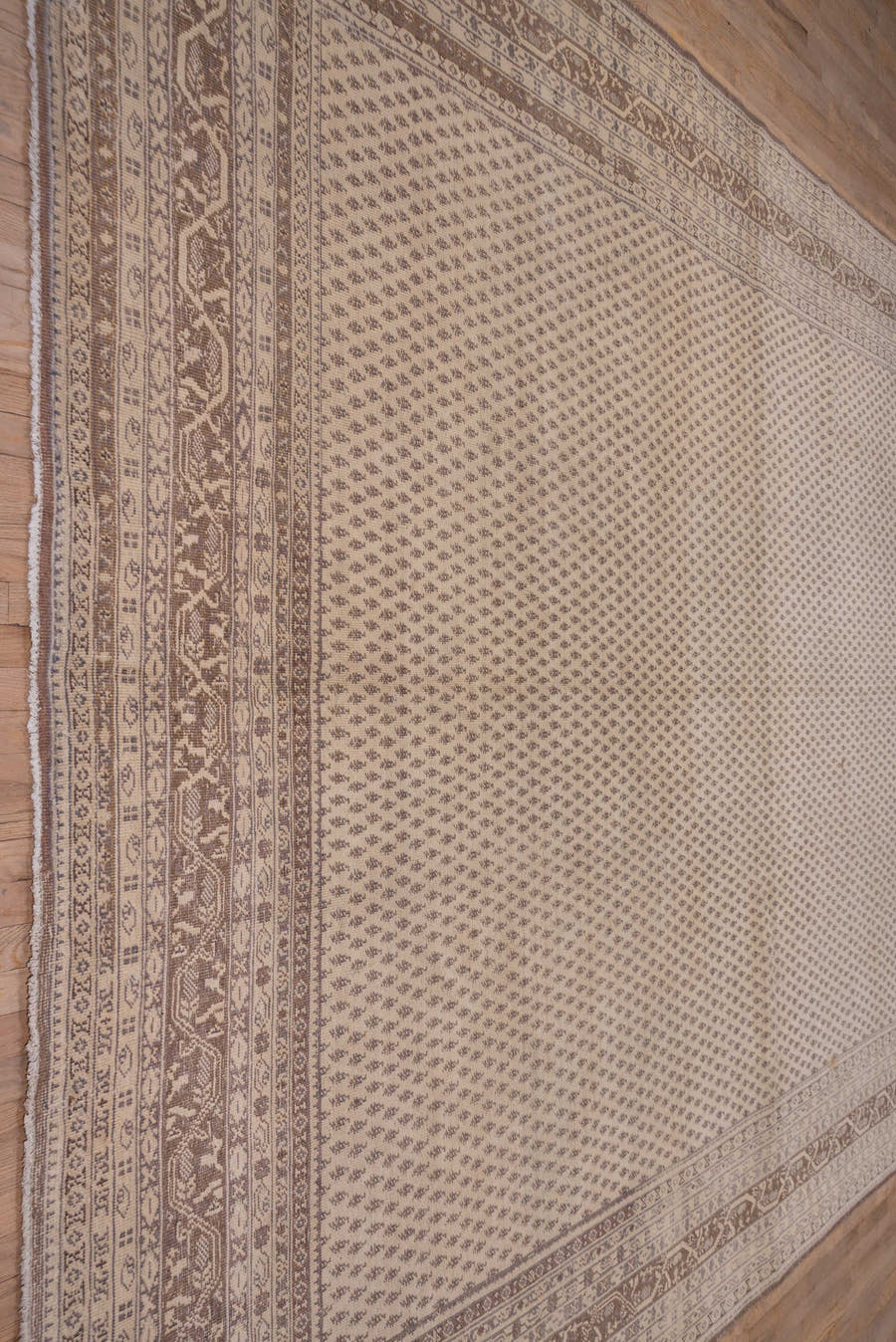 11' x 14' one-of-a-kind handmade vintage Sivas oversize rug. Color palette: ivory, taupe, brown, beige, camel, gray