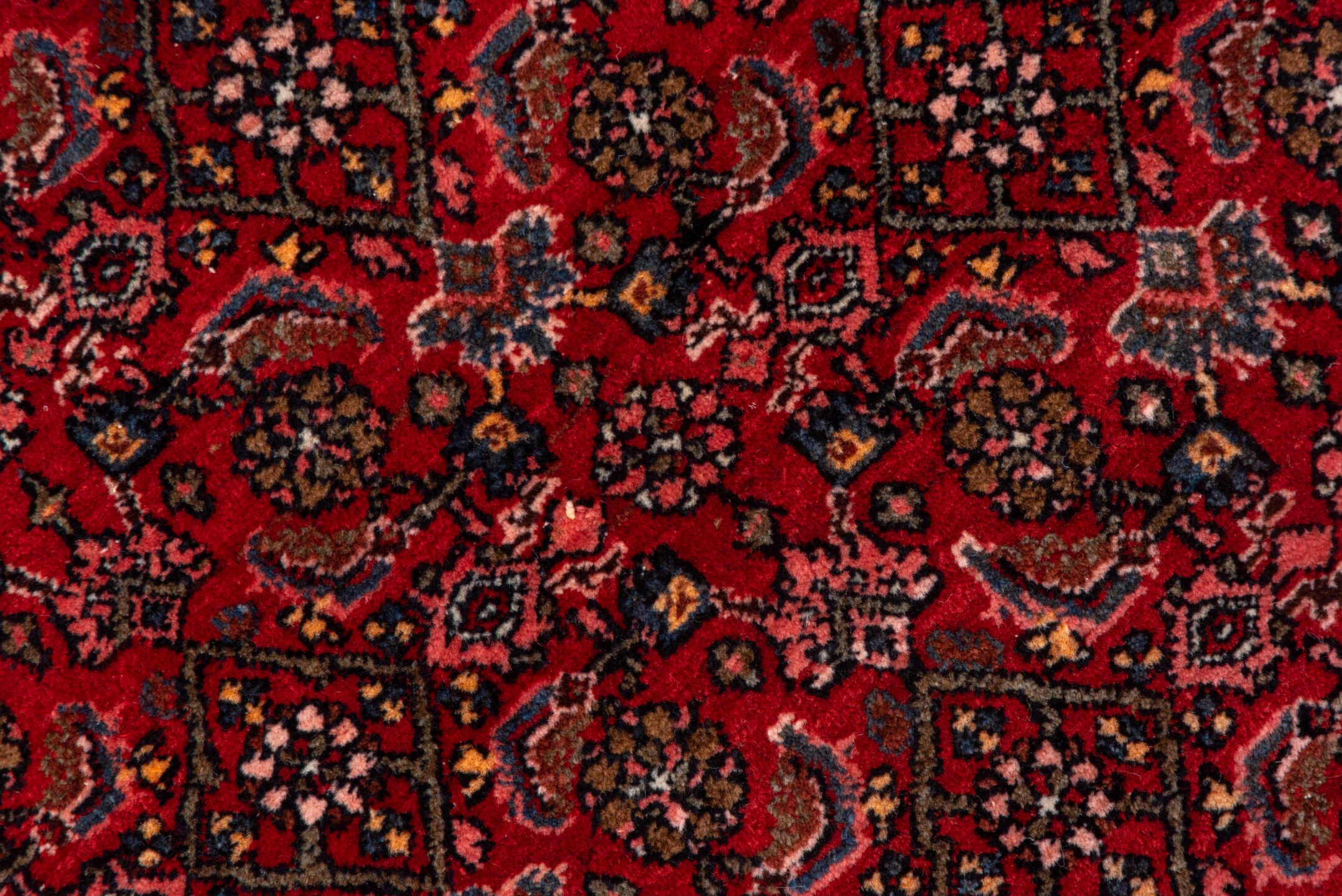 5' x 7' one-of-a-kind handmade antique Bidjar rug. Color palette: red, navy, rust, rose, ivory, charcoal, blue, terracotta