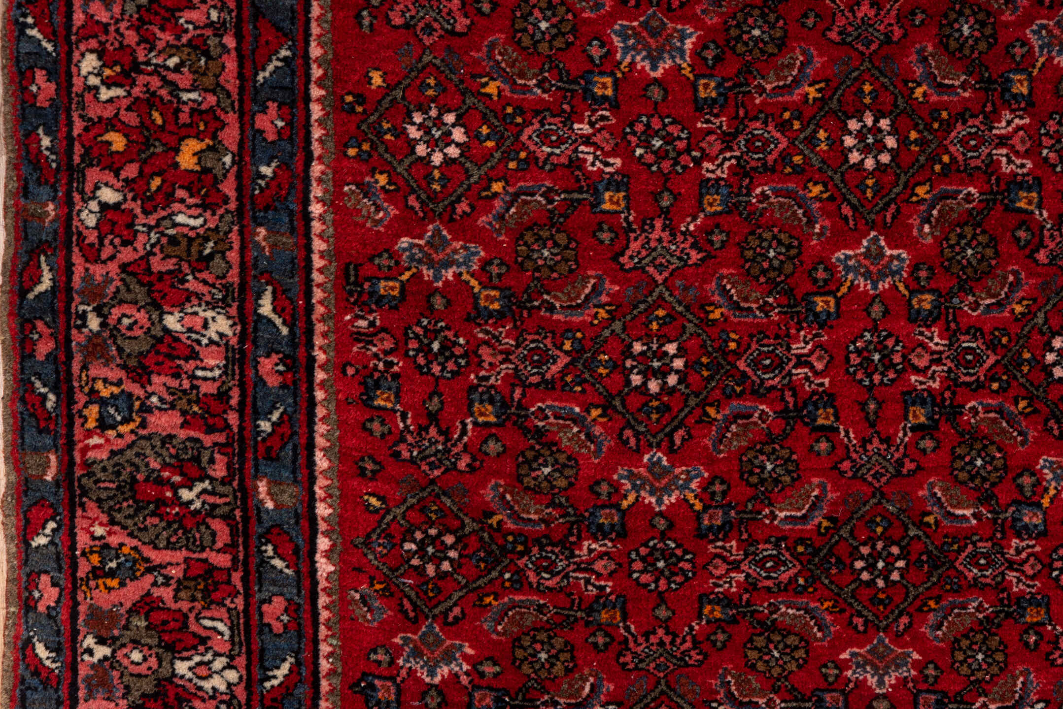 5' x 7' one-of-a-kind handmade antique Bidjar rug. Color palette: red, navy, rust, rose, ivory, charcoal, blue, terracotta