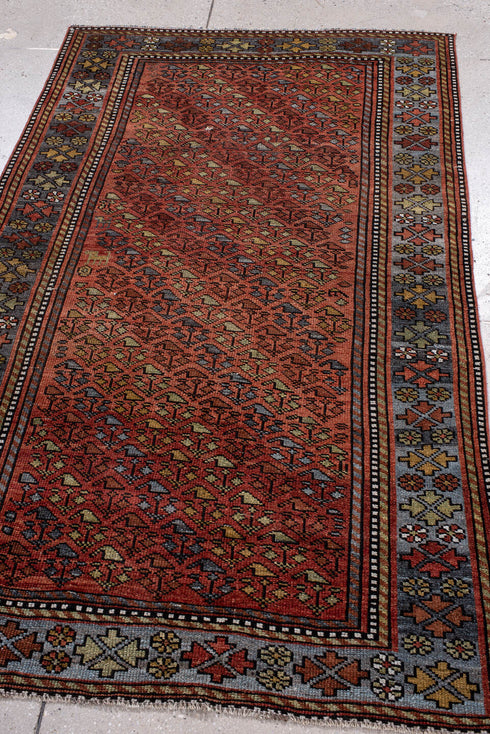 Antique Kurd Area Rug (3' x 6')