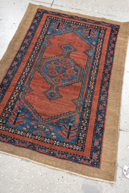 Antique Cam Hamadan Area Rug (2' x 4')