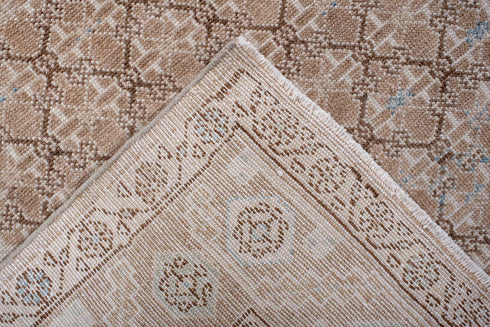 Antique Malayer Runner Rug (4' x 9')