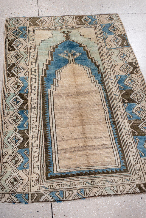 Antique Anatol Area Rug (2' x 4')