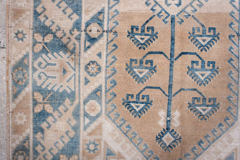 Antique Anatol Area Rug (4' x 6')