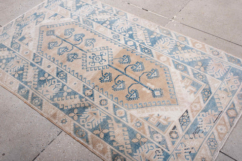 Antique Anatol Area Rug (4' x 6')