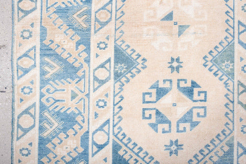 Antique Anatol Area Rug (3' x 6')