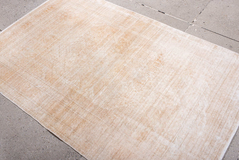 Antique Kaisary Area Rug (4' x 6')