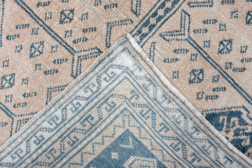 Antique Anatol Area Rug (3' x 6')