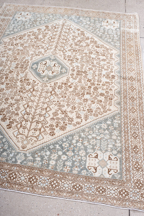 Antique Joshegan Area Rug (4' x 6')