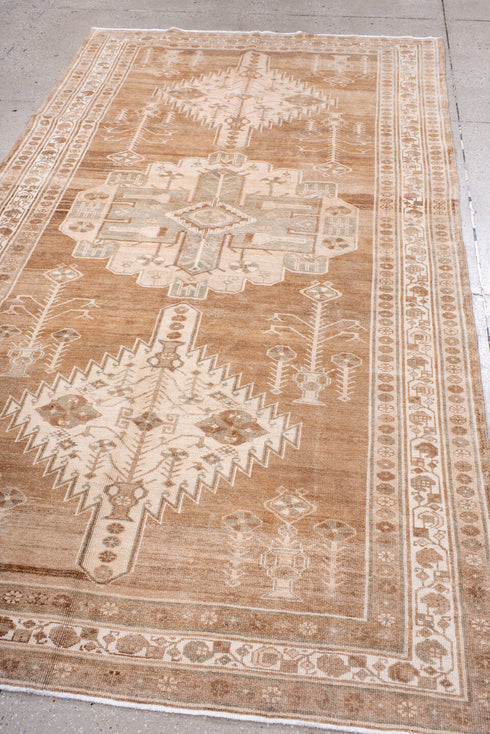 Antique Hamadan Area Rug (5' x 9')