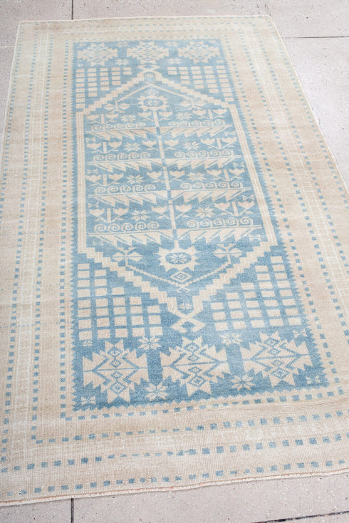 Antique Anatol Area Rug (3' x 6')