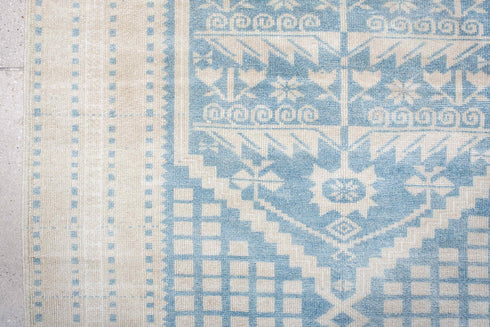 Antique Anatol Area Rug (3' x 6')