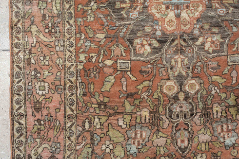 Vintage Baktiary Area Rug (4' x 6')