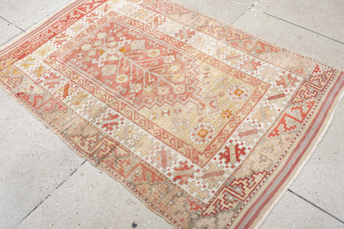 Vintage Anatol Area Rug (3' x 5')