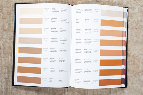 Antique Bidjar Area Rug (6' x 10')