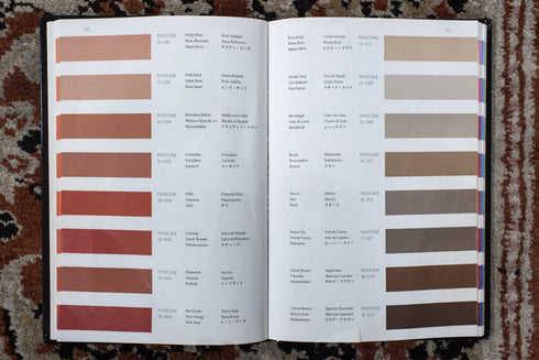 Antique Agra Area Rug (12' x 15')