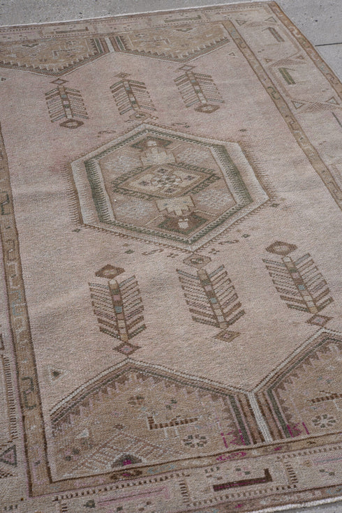 Antique Hamadan Area Rug (4' x 6')