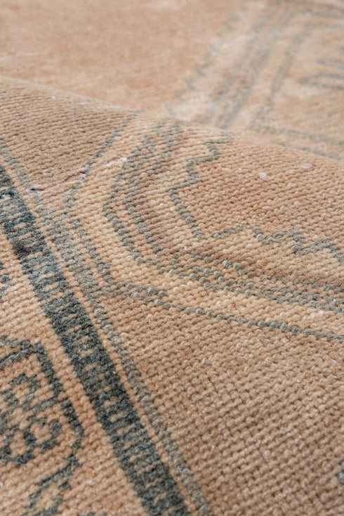 Antique Malayer Area Rug (4' x 6')