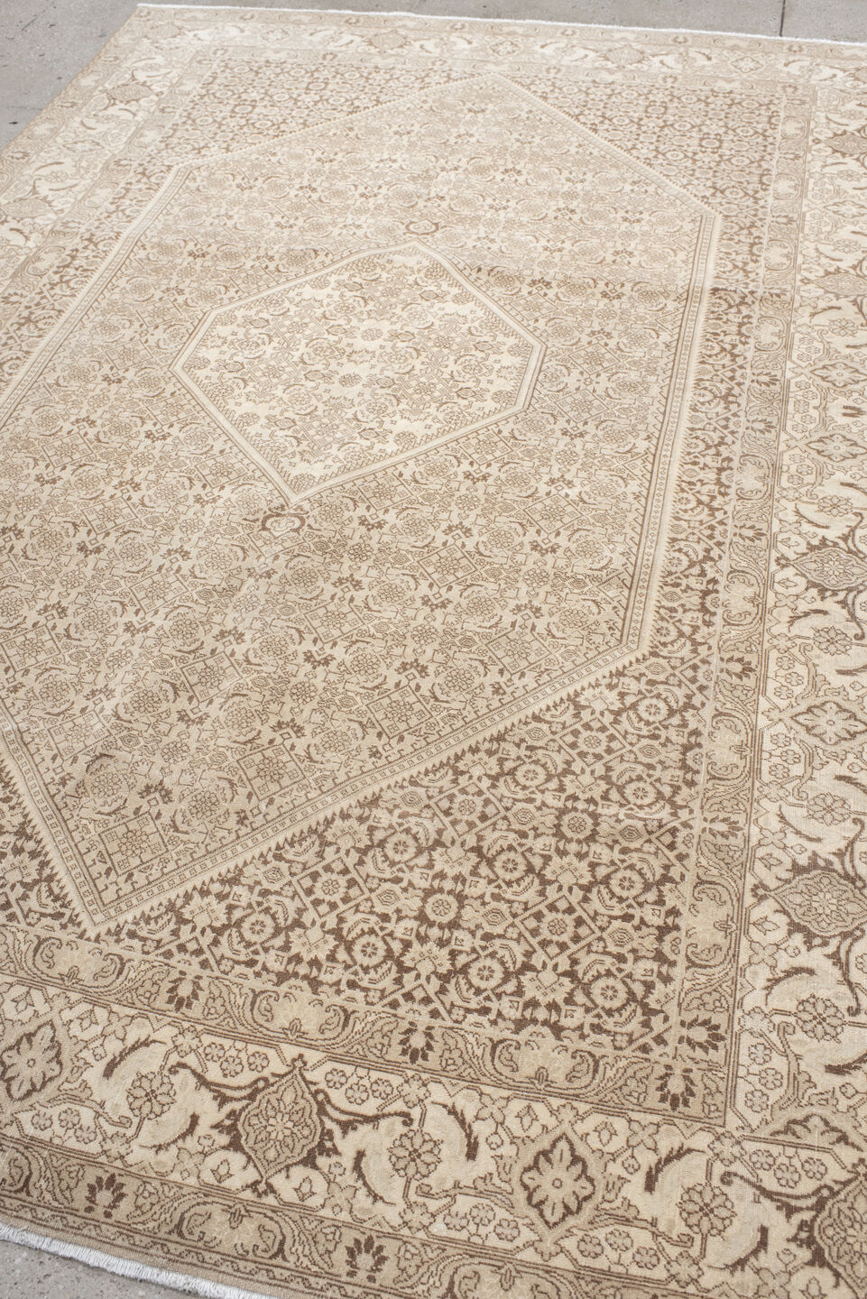 6' x 9' one-of-a-kind handmade antique Bidjar medium size rug. Color palette: ivory, taupe, beige, camel, sand, gray