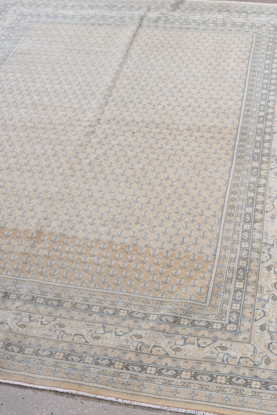 5' x 7' one-of-a-kind handmade antique Saraband rug. Color palette: ivory, pale blue, beige, taupe, cream, slate, light blue