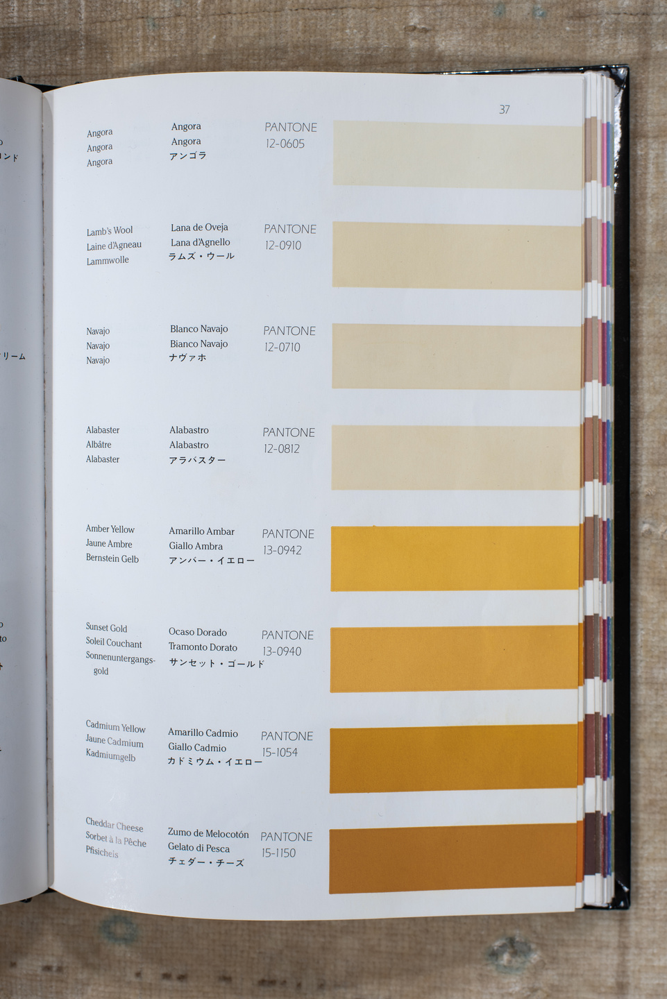 8' x 11' one-of-a-kind handmade antique Bidjar large size rug. Color palette: ivory, cream, beige, pale blue, sand