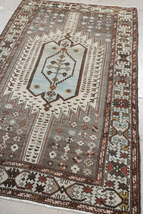 Vintage Malayer Area Rug (4' x 6')