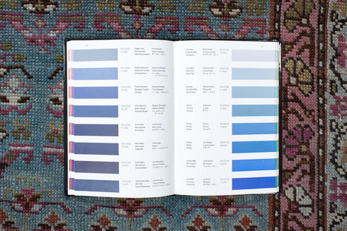 Antique NW Persian Runner Rug (3' x 12')