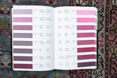 Antique NW Persian Runner Rug (3' x 12')