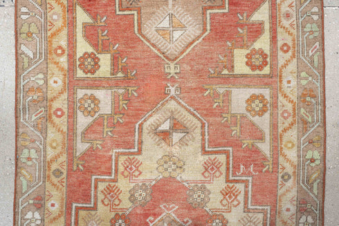 Antique Anatol Runner Rug (3' x 10')