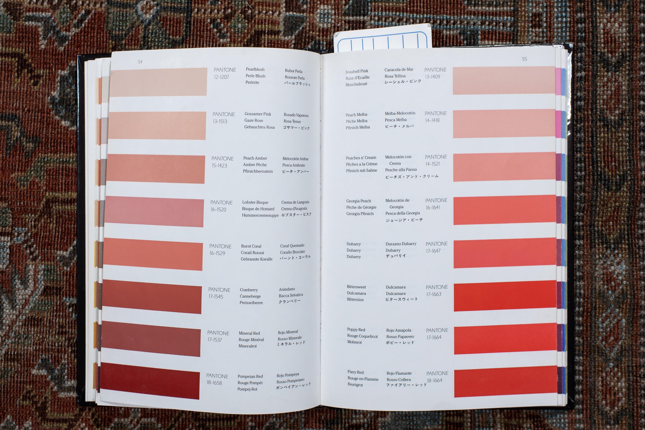 4' x 7' one-of-a-kind handmade vintage Qashqai rug. Color palette: terra cotta, pale blue, ivory, dark brown, slate, taupe