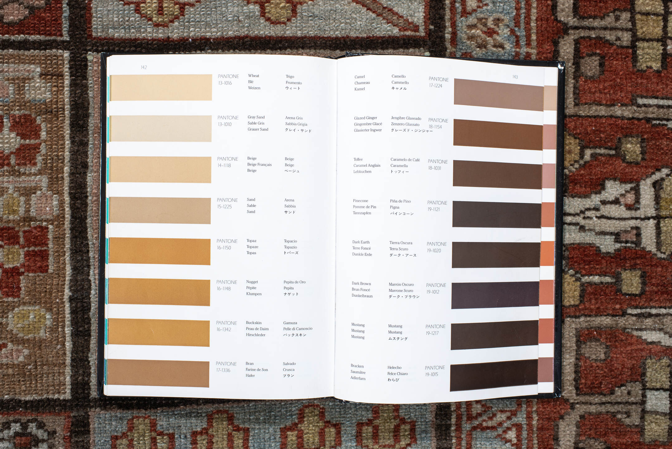 5' x 7' one-of-a-kind handmade antique Baktiary rug. Color palette: rust, ivory, brown, sky blue, sage, taupe, camel