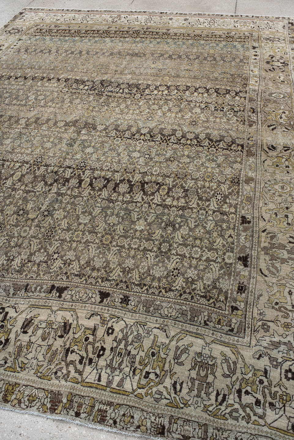 7' x 11' one-of-a-kind handmade vintage Bidjar large size rug. Color palette: taupe, ivory, charcoal, slate, gold, sage