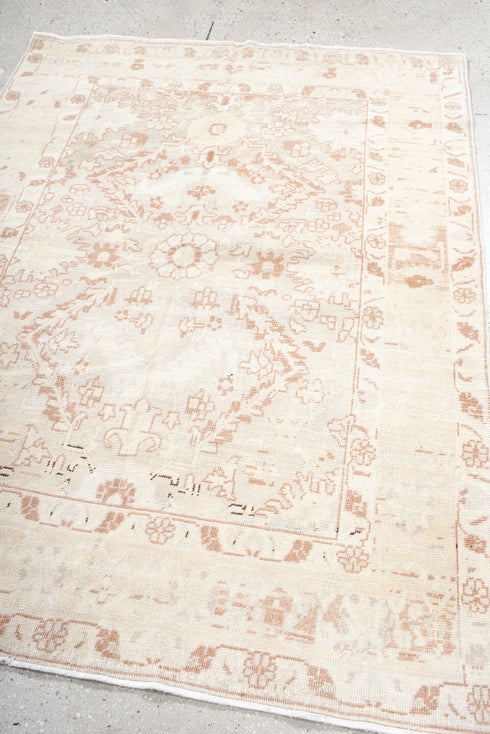 Antique Anatol Area Rug (4' x 6')