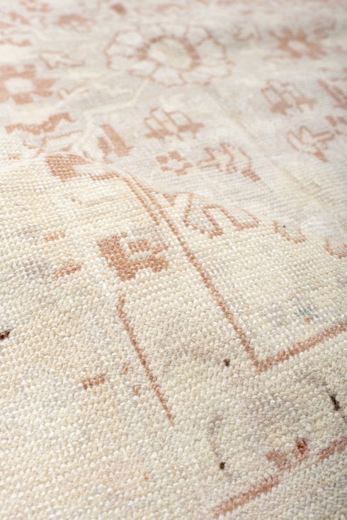 Antique Anatol Area Rug (4' x 6')