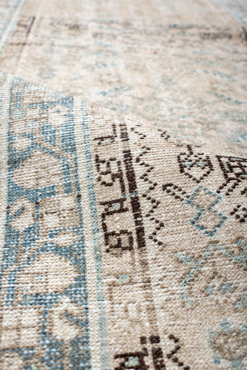 Antique Malayer Runner Rug (2' x 12')